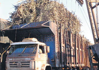 haga click para ampliar la imagen