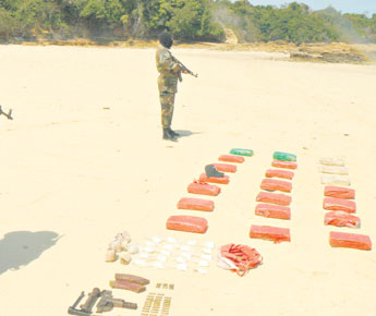 haga click para ampliar la imagen