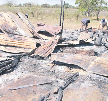 haga click para ampliar la imagen