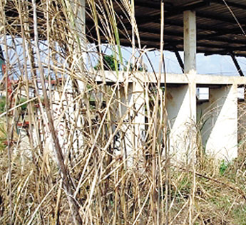 haga click para ampliar la imagen