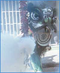 Imagen foto