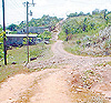 Imagen foto