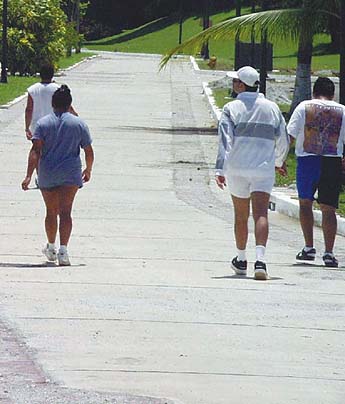 Imagen foto