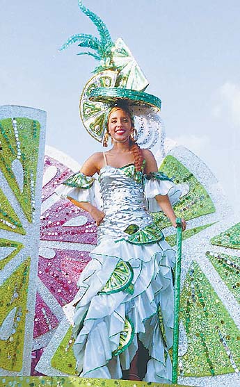 Imagen foto