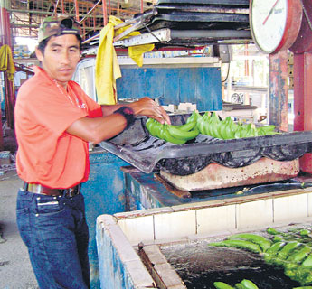 haga click para ampliar la imagen