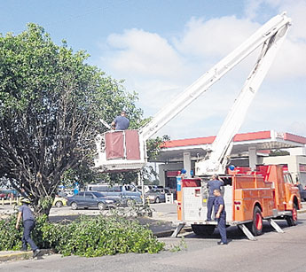 haga click para ampliar la imagen