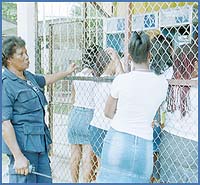 Imagen foto