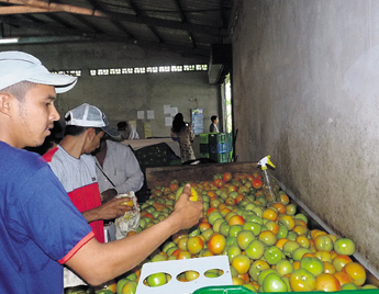 haga click para ampliar la imagen