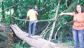 haga click para ampliar la imagen