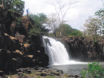 haga click para ampliar la imagen