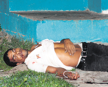 haga click para ampliar la imagen