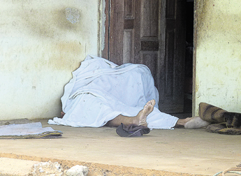 haga click para ampliar la imagen