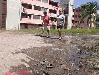 Imagen foto