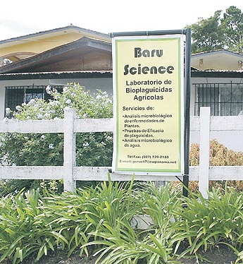 Imagen foto