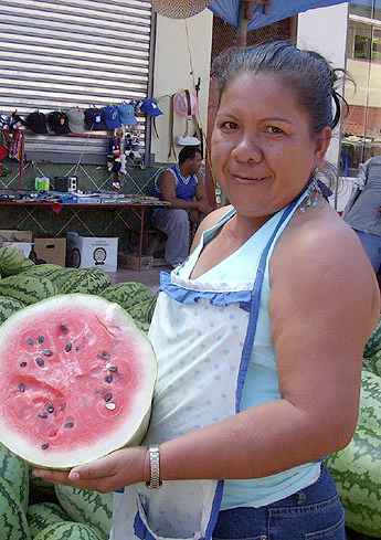 Imagen foto