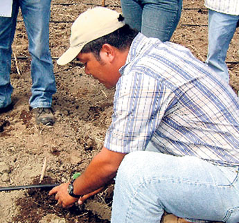 haga click para ampliar la imagen