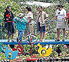 Imagen foto