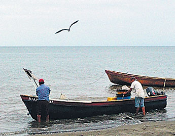 haga click para ampliar la imagen