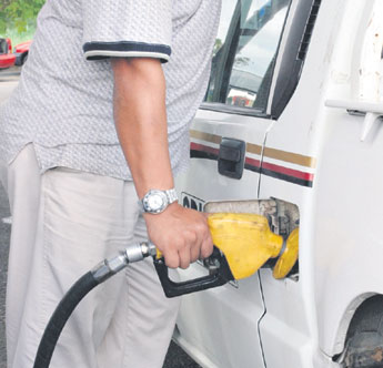 haga click para ampliar la imagen