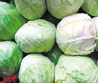 haga click para ampliar la imagen