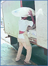 Imagen foto