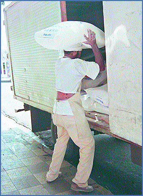 Imagen foto