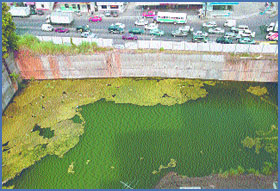 Imagen foto