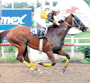 haga click para ampliar la imagen