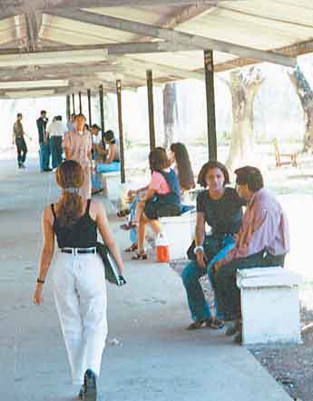 Imagen foto