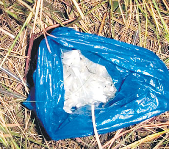 haga click para ampliar la imagen