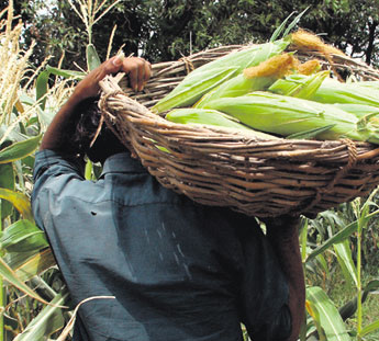 haga click para ampliar la imagen