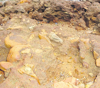 haga click para ampliar la imagen