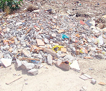 haga click para ampliar la imagen