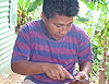 Imagen foto
