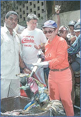 Imagen foto