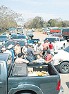 haga click para ampliar la imagen
