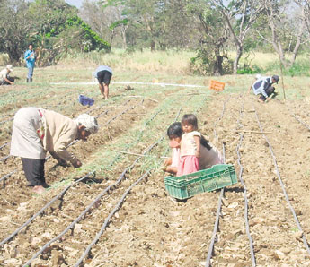 haga click para ampliar la imagen