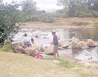 haga click para ampliar la imagen