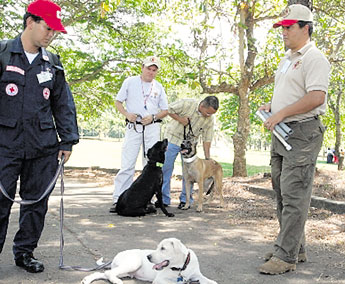 haga click para ampliar la imagen