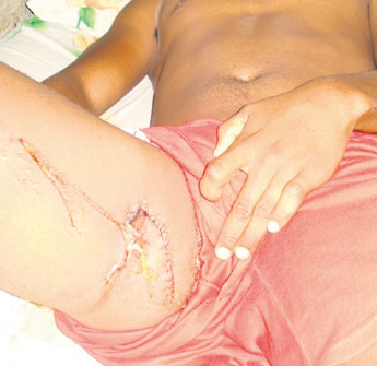 haga click para ampliar la imagen