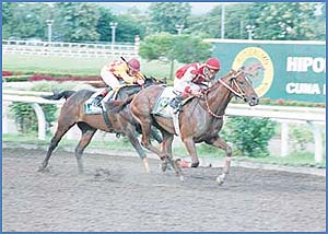 Imagen foto