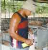Imagen foto