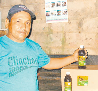 haga click para ampliar la imagen