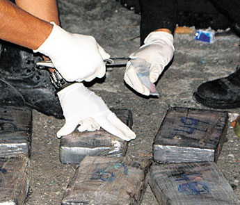 haga click para ampliar la imagen