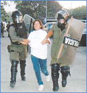Imagen foto