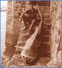 Imagen foto