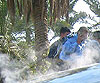 Imagen foto