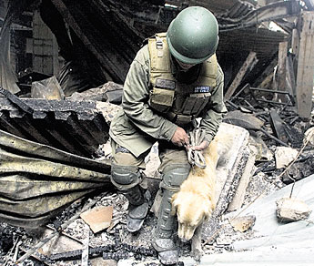 haga click para ampliar la imagen