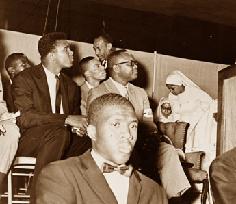 haga click para ampliar la imagen