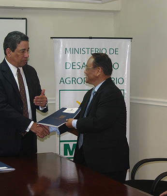 Imagen foto